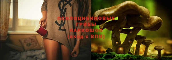 эйфоретик Нея