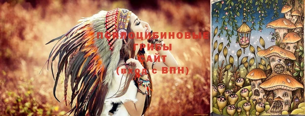 PSILOCYBIN Наволоки
