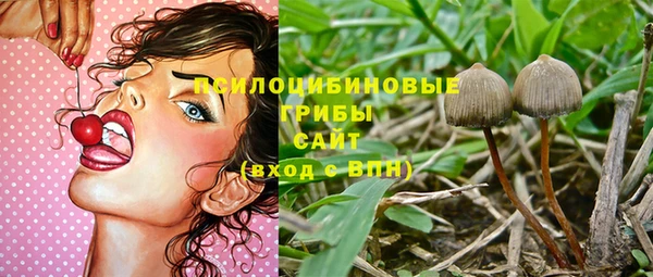 эйфоретик Нея