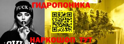 гидропоника Канаш