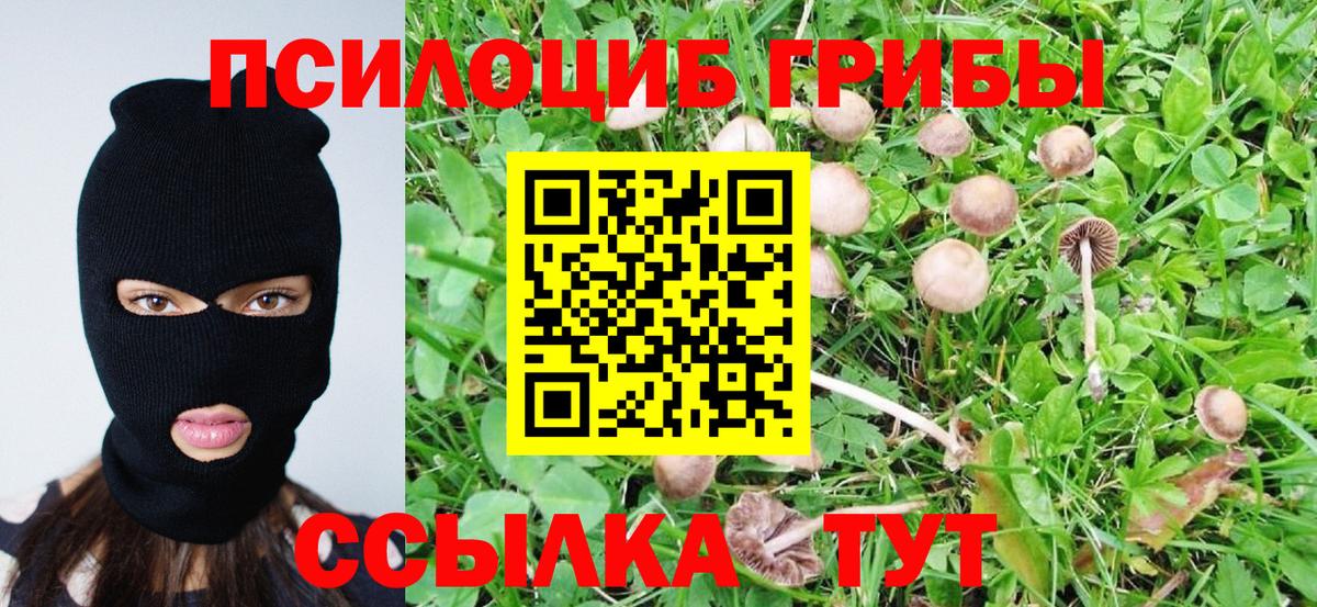 Галлюциногенные грибы ЛСД Новый Уренгой