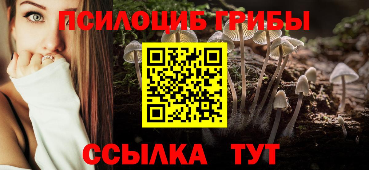 наркотики  Вход с VPN  Новый Уренгой  Галлюциногенные грибы GOLDEN TEACHER 
